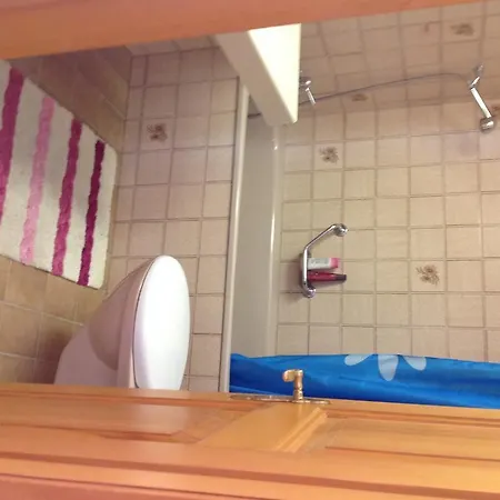 2,5 -zimmer Ferienwohnung Bernerhof *